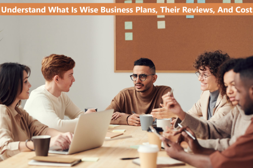 Understand What Is Wise Business Plans, Their Reviews, And Cost